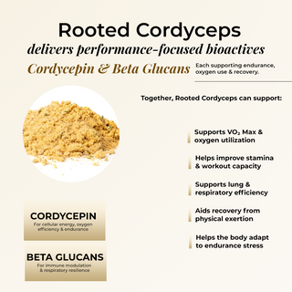 Organic Cordyceps Militaris Mushroom Extract Powder | 100% Pure Extract | Vegan | Lab Tested