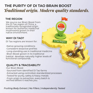 Brain Booster - Brahmi Shankpushpi, Bacopa, Lions Mane Mushroom & Jatamansi, Brain Memory Booster Mind Focus Mood, Nootropics Cognitive - 60 Veg Capsules