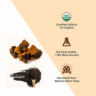 Siberian Chaga Powder