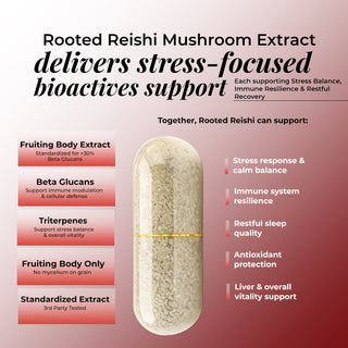 Rooted Reishi Mushroom Capsules for Calm, Clarity & Immunity