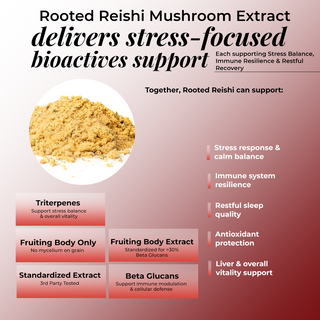 Rooted Reishi Powder Pure Adaptogenic Mushroom for for Daily Calm, Immunity & Stress Relief