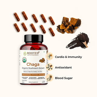 Chaga Mushroom Extract Capsules