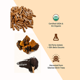 Siberian Chaga Mushroom Extract Capsules