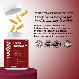 Rooted Reishi Mushroom Capsules for Calm, Clarity & Immunity