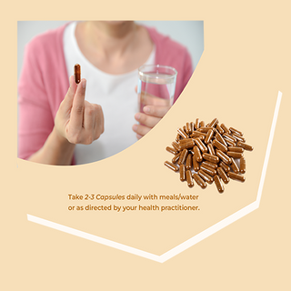 Siberian Chaga Mushroom Extract Capsules