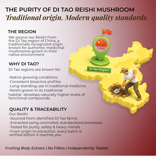 Rooted Reishi Powder Pure Adaptogenic Mushroom for for Daily Calm, Immunity & Stress Relief