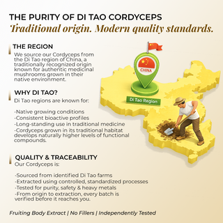 Organic Cordyceps Militaris Extract Capsules | Pure Mushroom Supplement | Lab Tested