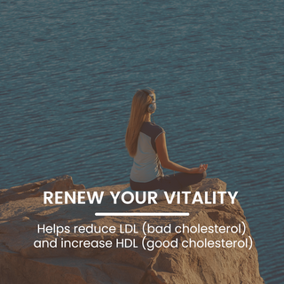 Siberian Chaga Powder for Immunity, Antioxidant Support & Daily Vitality
