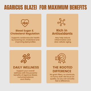 Organic Agaricus Blazei Extract Powder for Inflammation, Blood Sugar Support & Antioxidant Defense