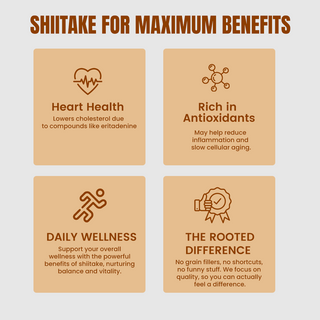 Shiitake Mushroom Extract Capsules for Immunity, Heart Health & Cholesterol Support
