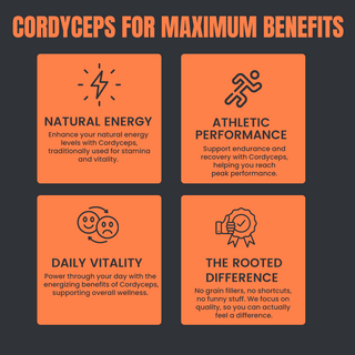 Organic Cordyceps Militaris Capsules Natural Stamina, Energy & Endurance Booster