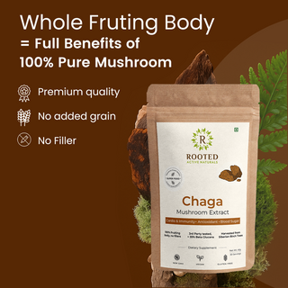 Siberian Chaga Powder for Immunity, Antioxidant Support & Daily Vitality