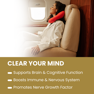 Organic Lion’s Mane Mushroom Capsules for Focus, Memory & Brain Health