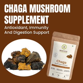 Siberian Chaga Powder for Immunity, Antioxidant Support & Daily Vitality