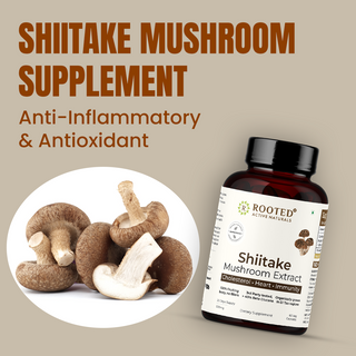 Shiitake Mushroom Extract Capsules for Immunity, Heart Health & Cholesterol Support