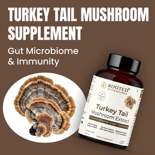 Turkey Tail Mushroom Extract Capsules for Immunity, Gut Health & Cellular Support