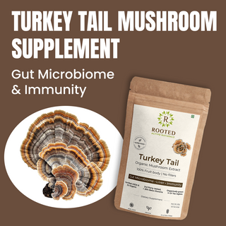 Turkey Tail Mushroom Extract Powder for Immunity, Gut Health & Antioxidant Support