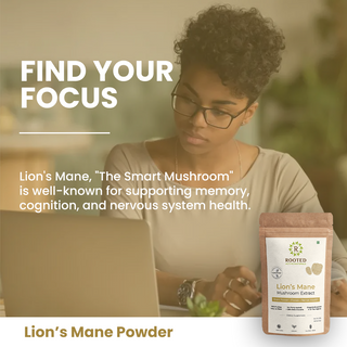 Organic Lion’s Mane Mushroom Powder for Focus, Memory & Brain Health