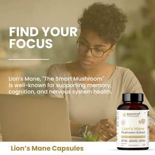 Organic Lion’s Mane Mushroom Capsules for Focus, Memory & Brain Health