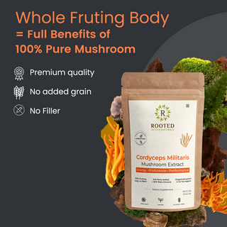 Cordyceps Militaris Extract Powder Stamina, Energy & Endurance Booster
