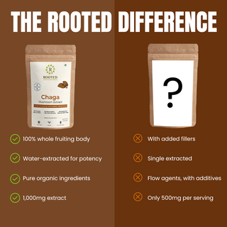 Siberian Chaga Powder for Immunity, Antioxidant Support & Daily Vitality