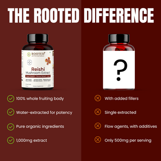 Rooted Reishi Organic Mushroom Capsules for Calm, Clarity & Immunity