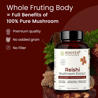 Rooted Reishi Organic Mushroom Capsules for Calm, Clarity & Immunity