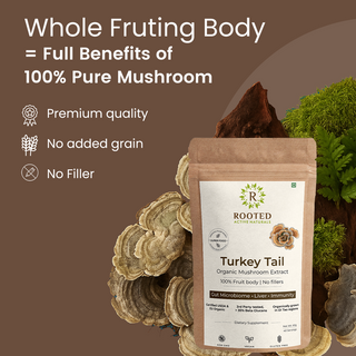 Turkey Tail Mushroom Extract Powder for Immunity, Gut Health & Antioxidant Support