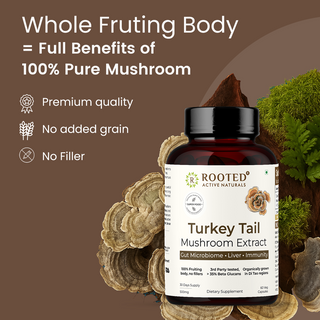 Turkey Tail Mushroom Extract Capsules for Immunity, Gut Health & Cellular Support