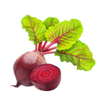 Beetroot Extract