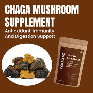 Chaga Mushroom Powder Supplement