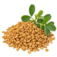 FENUGREEK