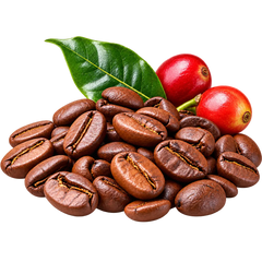 100% ARABICA ESPRESSO