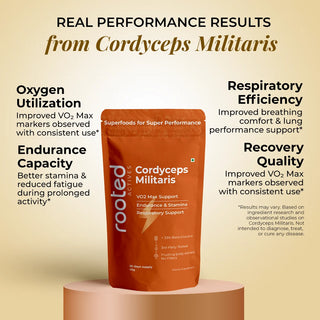 Cordyceps Militaris Powder