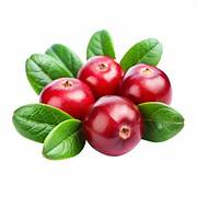 Cranberry
