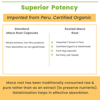 Maca Root Capsules Peruvian Superfood for Daily Vitality