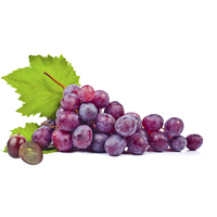 Grape Seed Extract