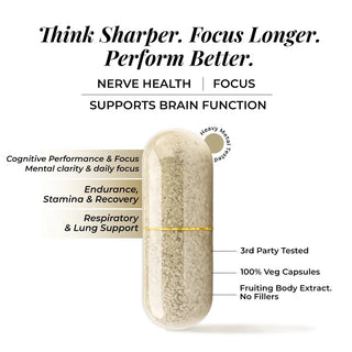Lions Mane Mushroom 90 Capsules brief
