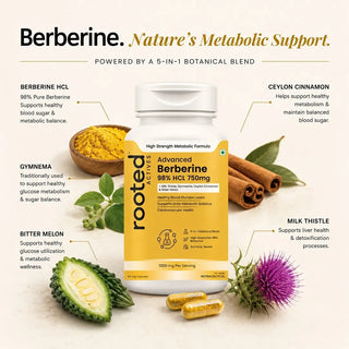 Natural Berberine