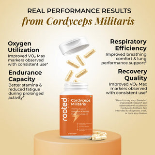 Real Performance Cordyceps Capsules