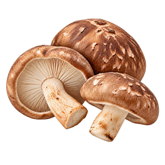 SHIITAKE