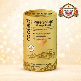 Shilajit Honey sticks