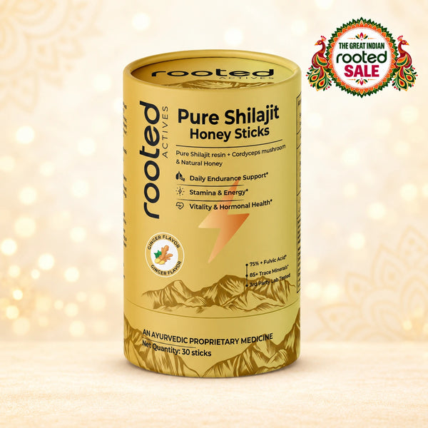 Shilajit Honey sticks