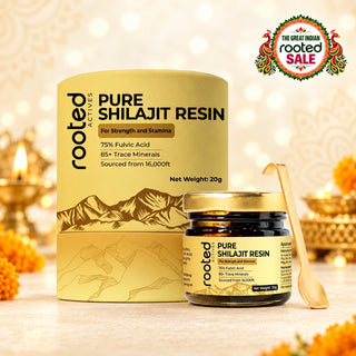 Shilajit resin