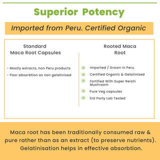 Certified Organic Peruvian Maca Root with Reishi Capsules