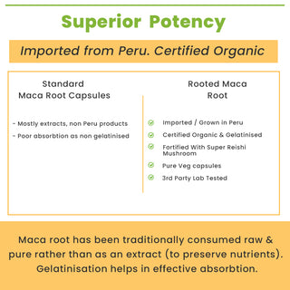 Maca Root + Reishi Mushroom Capsules