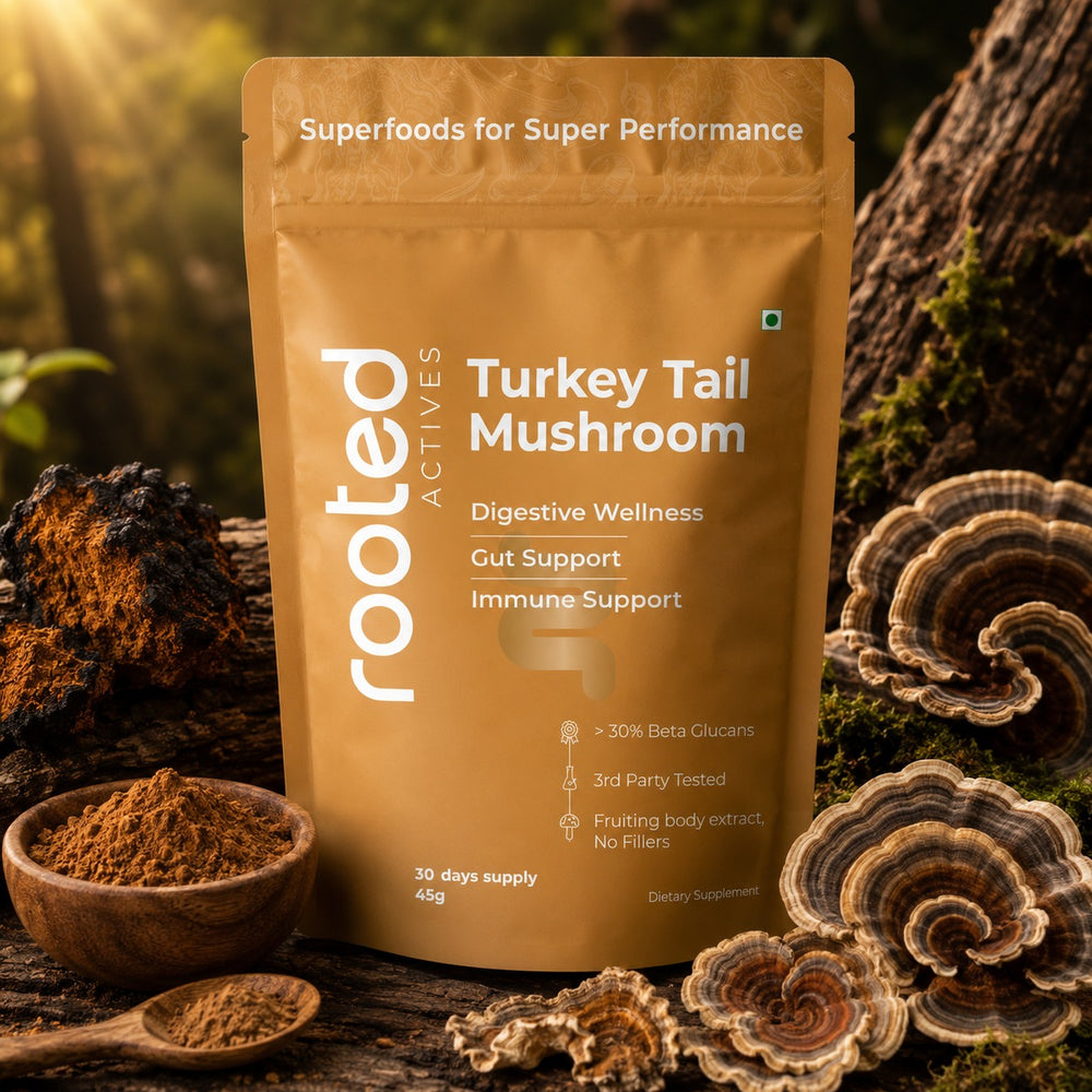 Rooted Actives Turkey Tail Extract Powder