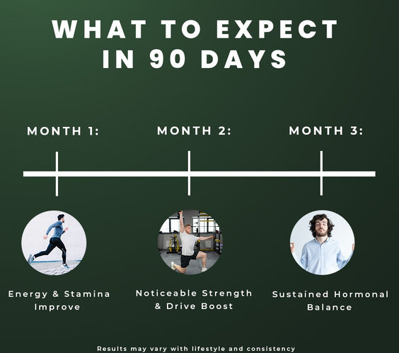 Testo - Natural Testosterone Support with Maca, Tongkat Ali & Horny Goat Weed | Boost Energy & Stamina