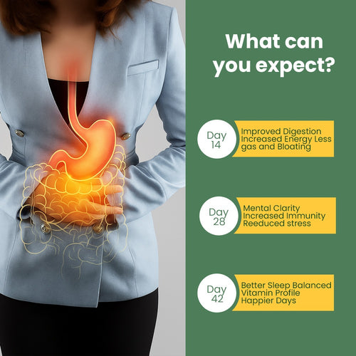 Power Greens Drink mix with Reds, 30+ Organic Superfoods, Probiotics & Enzymes for Energy, Digestion, Gut Health & Bloating ( Zero Sugar)