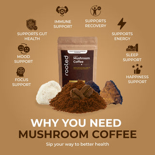 Mushroom Coffee | Lion’s Mane & Chaga | Espresso Flavour | Focus & Clean Energy